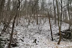 0000 Nc Hwy 197 Hwy, Green Mountain, NC 28740 - Photo 5