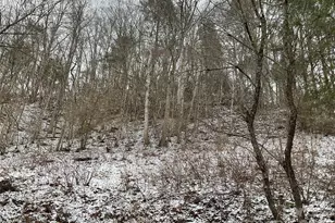 0000 Nc Hwy 197 Hwy, Green Mountain, NC 28740 - Photo 15