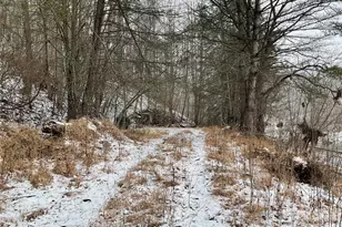 0000 Nc Hwy 197 Hwy, Green Mountain, NC 28740 - Photo 3