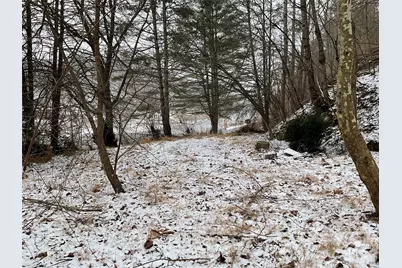 0000 Nc Hwy 197 Highway, Green Mountain, NC 28740 - Photo 13