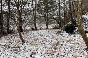 0000 Nc Hwy 197 Hwy, Green Mountain, NC 28740 - Photo 13