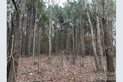 1440 Carl Taylor Road, Peachland, NC 28133 - Photo 13