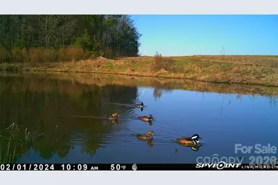 1440 Carl Taylor Road, Peachland, NC 28133 - Photo 17