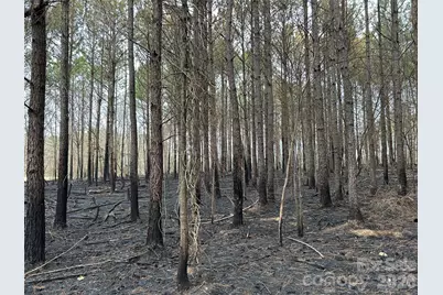 1440 Carl Taylor Road, Peachland, NC 28133 - Photo 11