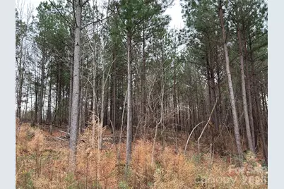 1440 Carl Taylor Road, Peachland, NC 28133 - Photo 15