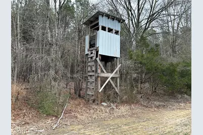 1440 Carl Taylor Road, Peachland, NC 28133 - Photo 9