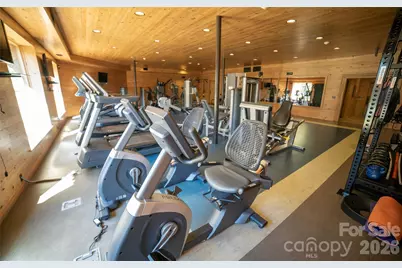 2004 Fergusons Folly Drive, Nebo, NC 28761 - Photo 29