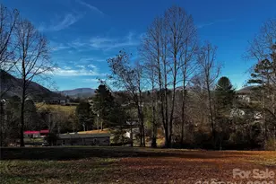 426 Shadow Wood Dr, Leicester, NC 28748 - Photo 29