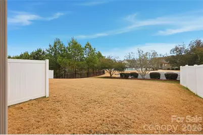7006 Swamp Chestnut Lane, Indian Land, SC 29707 - Photo 27