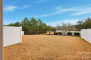 7006 Swamp Chestnut Ln, Indian Land, SC 29707 - Photo 27