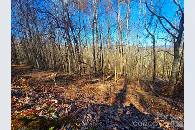 160 Slippery Rock Road #206, Waynesville, NC 28785 - Photo 5