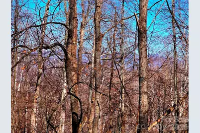 160 Slippery Rock Road #206, Waynesville, NC 28785 - Photo 15