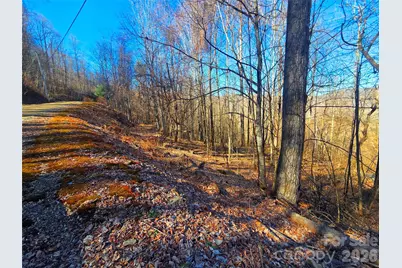 160 Slippery Rock Road #206, Waynesville, NC 28785 - Photo 11