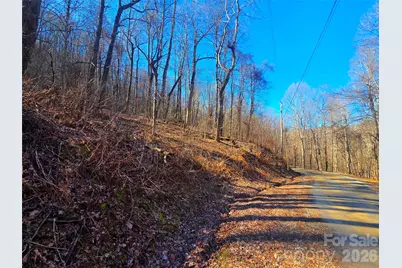 160 Slippery Rock Road #206, Waynesville, NC 28785 - Photo 7