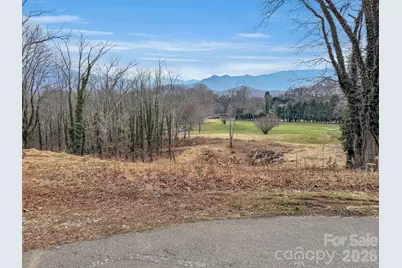 000 Cupp Lane, Waynesville, NC 28786 - Photo 3