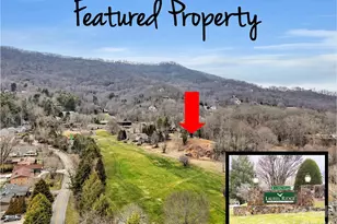 000 Cupp Ln, Waynesville, NC 28786 - Photo 1