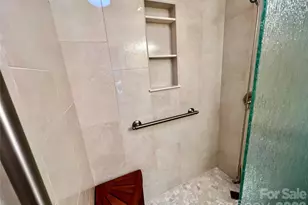 33 Ugedaliyvi Ct, Brevard, NC 28712 - Photo 27