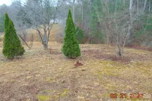 2685 Pit Ln, Morganton, NC 28655 - Photo 11