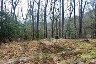 14 Irvin Rd, Pisgah Forest, NC 28768 - Photo 15