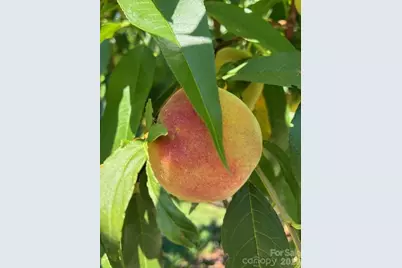 405 Mistletoe Trail, Hendersonville, NC 28791 - Photo 47