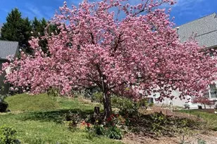 405 Mistletoe Trail, Hendersonville, NC 28791 - Photo 45