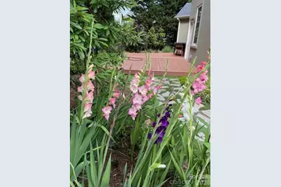 405 Mistletoe Trail, Hendersonville, NC 28791 - Photo 9