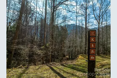 75 Wild Turkey Loop #31, Marshall, NC 28753 - Photo 27