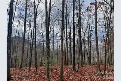 75 Wild Turkey Loop #31, Marshall, NC 28753 - Photo 3