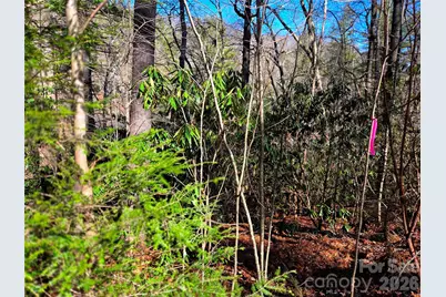 115 Fragrant Pine Drive #105, Waynesville, NC 28785 - Photo 5