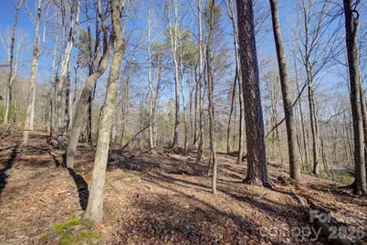 004 High Road Court #4, Lake Lure, NC 28746 - Photo 5