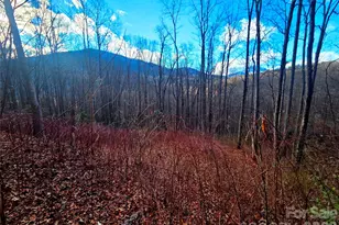 900 Fern Trail, Waynesville, NC 28786 - Photo 1