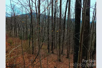 900 Fern Trail #31, Waynesville, NC 28786 - Photo 15