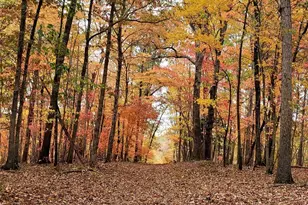 32849 Nc 49 Hwy, New London, NC 28127 - Photo 37