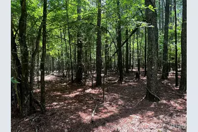 00 Sandlapper Drive #B, York, SC 29745 - Photo 3