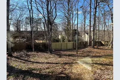 1300 Long Paw Lane, Charlotte, NC 28214 - Photo 39