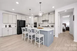 16203 Tulloch Rd, Charlotte, NC 28278 - Photo 15