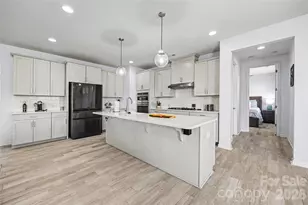 16203 Tulloch Rd, Charlotte, NC 28278 - Photo 13