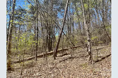 00 Pilgrim Church Road, Hiddenite, NC 28636 - Photo 21