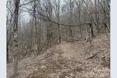 286 Frontier Drive, West Jefferson, NC 28694 - Photo 15