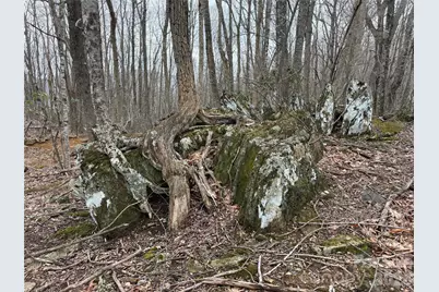 286 Frontier Drive, West Jefferson, NC 28694 - Photo 9