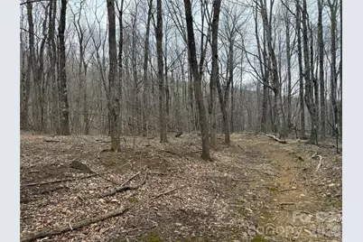 286 Frontier Drive, West Jefferson, NC 28694 - Photo 13