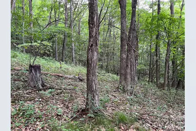 286 Frontier Drive, West Jefferson, NC 28694 - Photo 33