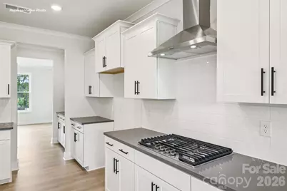 9103 Carver Avenue, Huntersville, NC 28078 - Photo 13