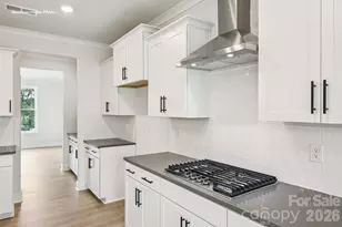 9103 Carver Ave, Huntersville, NC 28078 - Photo 13