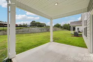 9103 Carver Ave, Huntersville, NC 28078 - Photo 35