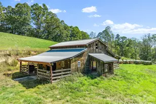 99 Quill Ammons Hollow, Marshall, NC 28753 - Photo 9