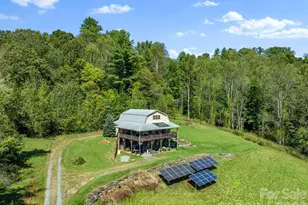 99 Quill Ammons Hollow, Marshall, NC 28753 - Photo 3