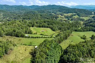 99 Quill Ammons Hollow, Marshall, NC 28753 - Photo 5