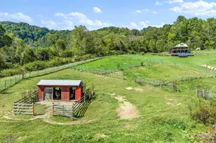 99 Quill Ammons Hollow, Marshall, NC 28753 - Photo 15