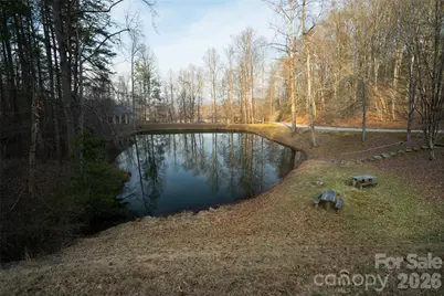 29 Open Ridge Trail, Pisgah Forest, NC 28768 - Photo 7